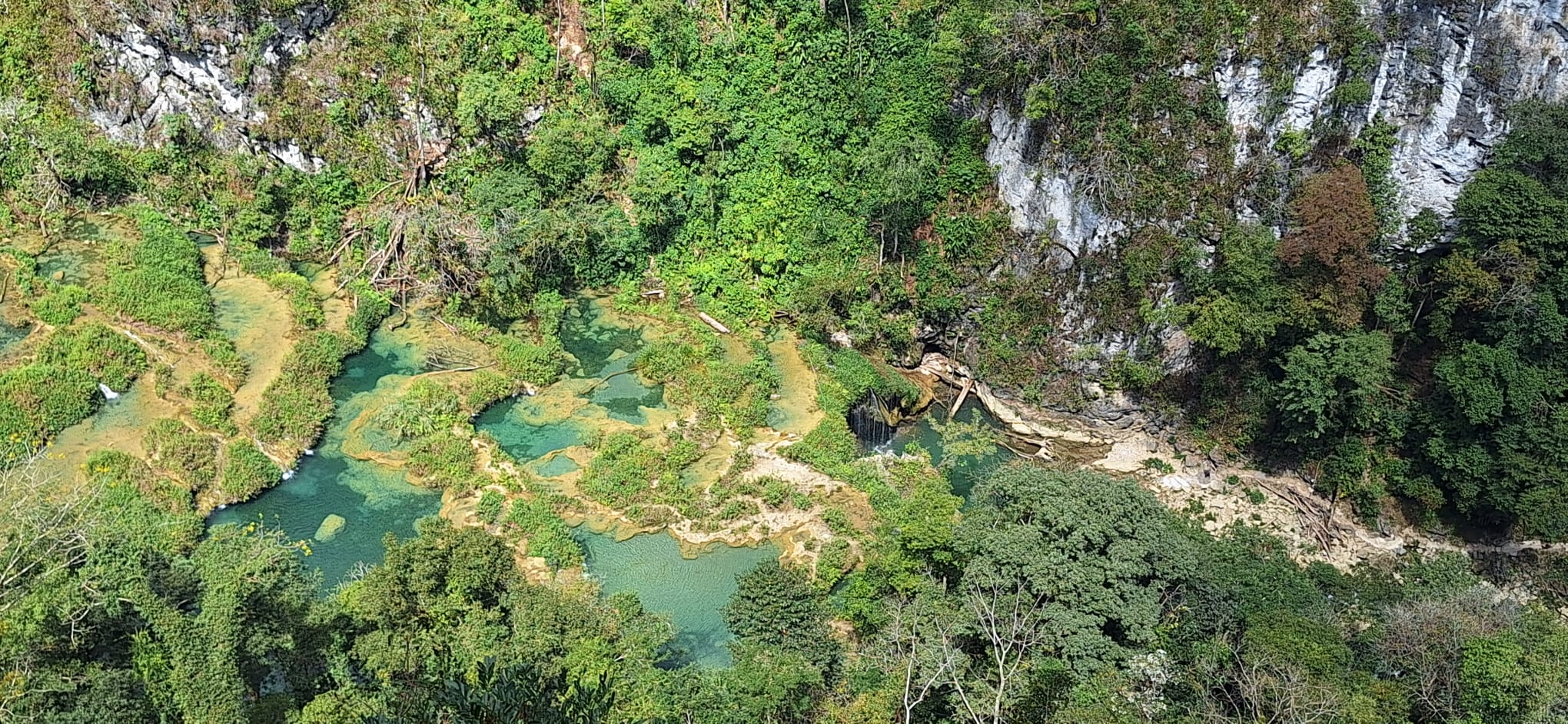 The impossibly clear sapphire water of Cráter Azul in the Petén rainforest